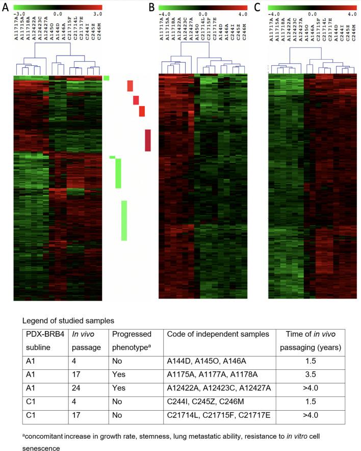 https://cdn.ncbi.nlm.nih.gov/pmc/blobs/ffb7/7810859/898e6a3ec712/41598_2021_81085_Fig6_HTML.jpg