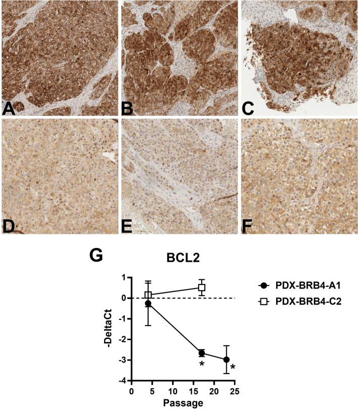 https://cdn.ncbi.nlm.nih.gov/pmc/blobs/ffb7/7810859/aa3b669f2aa7/41598_2021_81085_Fig4_HTML.jpg