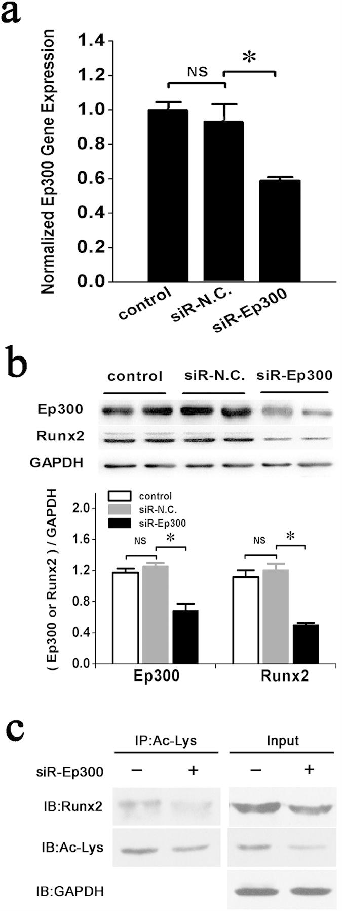 https://cdn.ncbi.nlm.nih.gov/pmc/blobs/ffbb/4685444/dfa9e637979b/srep18655-f6.jpg