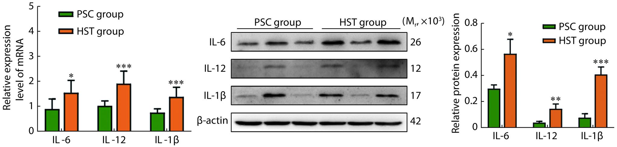 https://cdn.ncbi.nlm.nih.gov/pmc/blobs/ffbc/10839503/33c6908cd714/scdxxbyxb-55-1-118-2.jpg