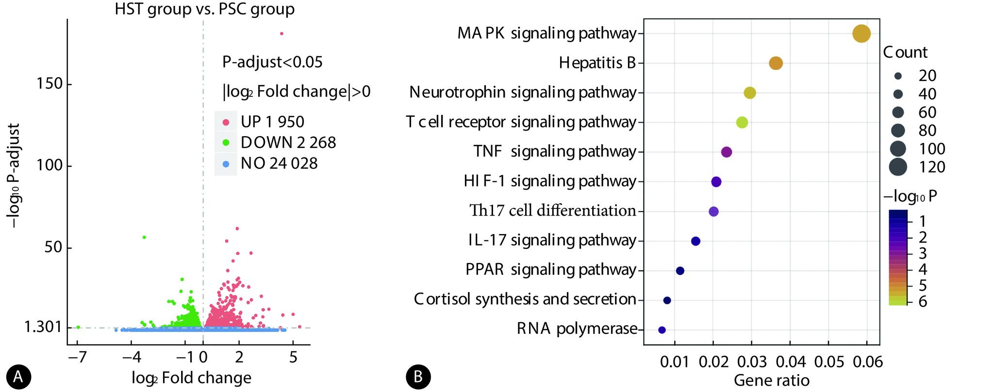 https://cdn.ncbi.nlm.nih.gov/pmc/blobs/ffbc/10839503/999d32b75c05/scdxxbyxb-55-1-118-3.jpg