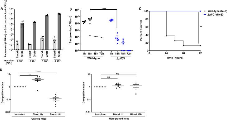 https://cdn.ncbi.nlm.nih.gov/pmc/blobs/ffbc/7909687/37ee9759caba/ppat.1009299.g001.jpg