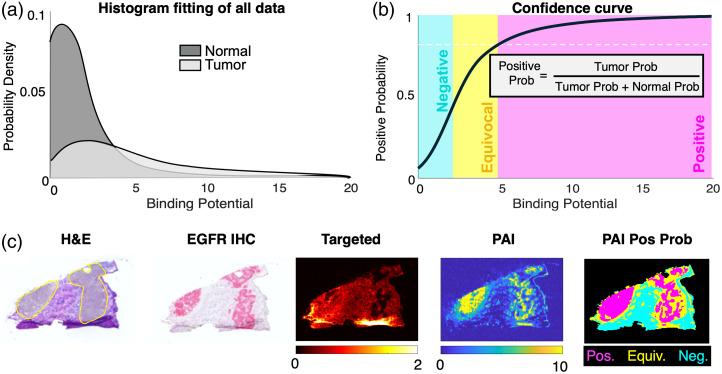 https://cdn.ncbi.nlm.nih.gov/pmc/blobs/ffbe/12048172/e82eea59b1a9/JBO-030-S13711-g007.jpg
