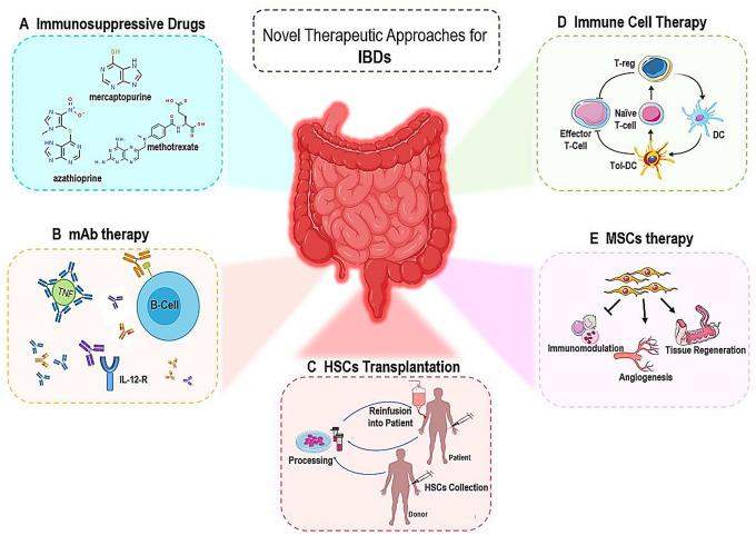https://cdn.ncbi.nlm.nih.gov/pmc/blobs/ffbe/8165675/8b41073d9a79/13577_2021_560_Fig1_HTML.jpg
