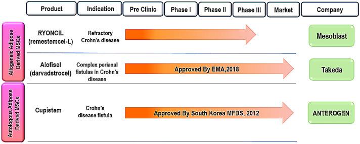 https://cdn.ncbi.nlm.nih.gov/pmc/blobs/ffbe/8165675/8f0191cb3d34/13577_2021_560_Fig2_HTML.jpg