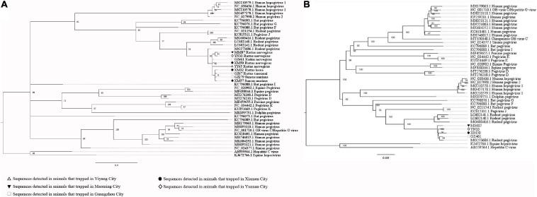 https://cdn.ncbi.nlm.nih.gov/pmc/blobs/ffbf/8221242/46764e3c0692/fmicb-12-653873-g009.jpg