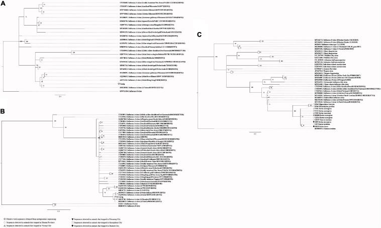 https://cdn.ncbi.nlm.nih.gov/pmc/blobs/ffbf/8221242/8921348e7503/fmicb-12-653873-g005.jpg