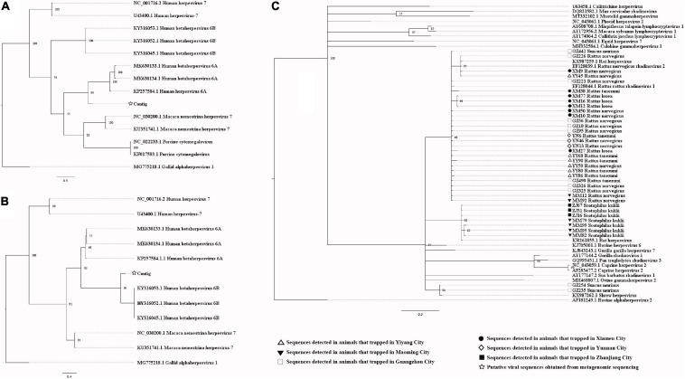 https://cdn.ncbi.nlm.nih.gov/pmc/blobs/ffbf/8221242/c03baa5cfd50/fmicb-12-653873-g007.jpg