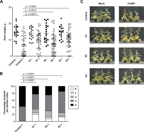 https://cdn.ncbi.nlm.nih.gov/pmc/blobs/ffc2/3022394/5c07a53f4910/jexboterq327f03_3c.jpg