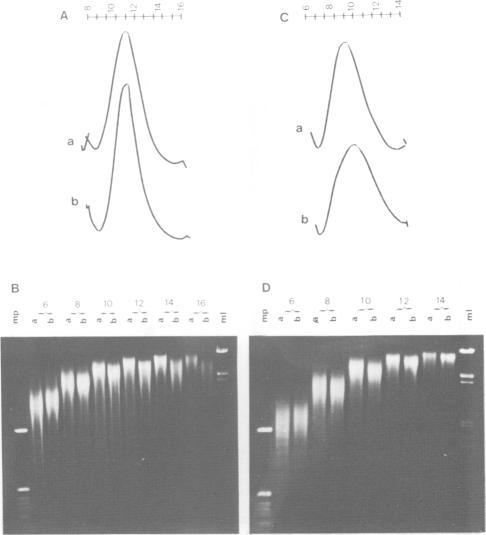 https://cdn.ncbi.nlm.nih.gov/pmc/blobs/ffc2/551861/77a7ad1d2400/emboj00232-0305-b.jpg