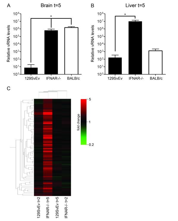 https://cdn.ncbi.nlm.nih.gov/pmc/blobs/ffc3/2728740/ce321bbf5499/1471-2164-10-350-4.jpg
