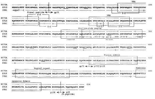 https://cdn.ncbi.nlm.nih.gov/pmc/blobs/ffc4/1769482/6492af1e850b/1743-422X-3-101-2.jpg
