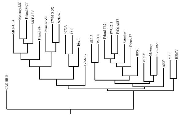 https://cdn.ncbi.nlm.nih.gov/pmc/blobs/ffc4/1769482/6b67e275e1fe/1743-422X-3-101-7.jpg