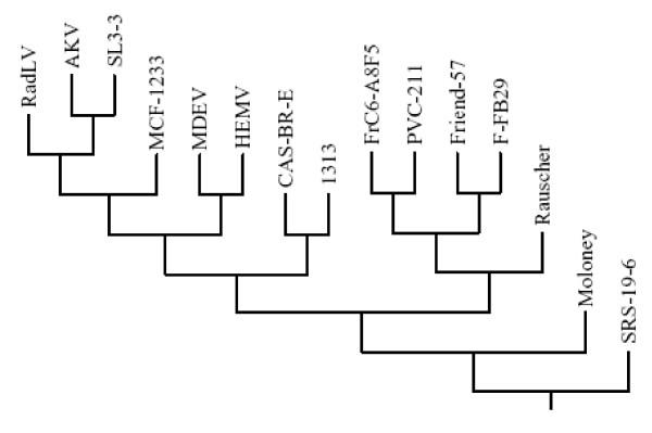 https://cdn.ncbi.nlm.nih.gov/pmc/blobs/ffc4/1769482/7c3e9946d7a8/1743-422X-3-101-4.jpg