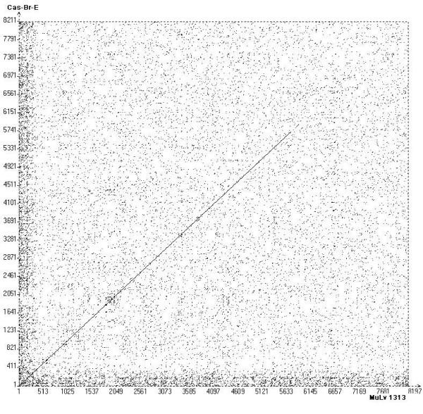 https://cdn.ncbi.nlm.nih.gov/pmc/blobs/ffc4/1769482/d641fa3ffd22/1743-422X-3-101-3.jpg