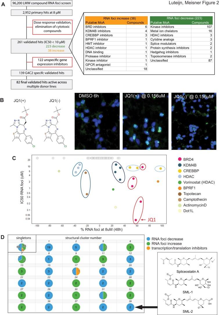 https://cdn.ncbi.nlm.nih.gov/pmc/blobs/ffc5/11983130/9d16df549bd7/gkaf253fig2.jpg