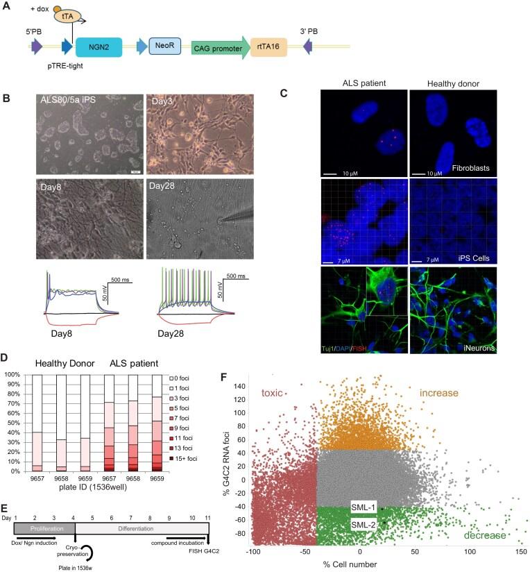 https://cdn.ncbi.nlm.nih.gov/pmc/blobs/ffc5/11983130/a49baa421987/gkaf253fig1.jpg