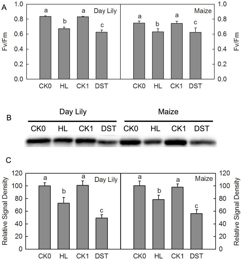 https://cdn.ncbi.nlm.nih.gov/pmc/blobs/ffc5/3929631/de6cd52c390e/pone.0089067.g004.jpg