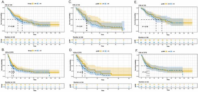 https://cdn.ncbi.nlm.nih.gov/pmc/blobs/ffc6/11903595/1df3631c9ee1/432_2025_6148_Fig7_HTML.jpg
