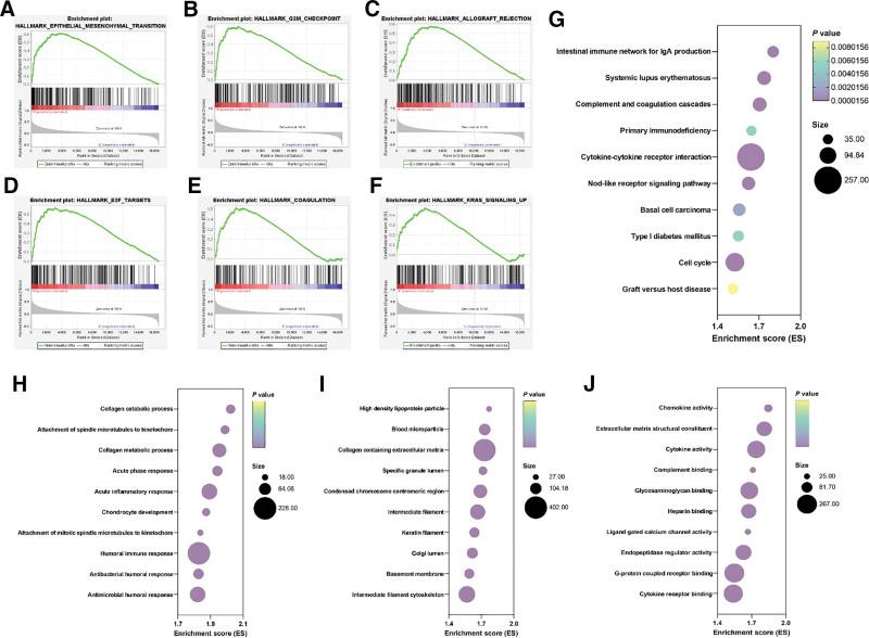 https://cdn.ncbi.nlm.nih.gov/pmc/blobs/ffcd/11441924/0153b4b2fbe0/medi-103-e39678-g005.jpg