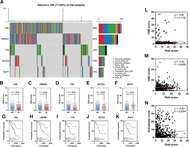 https://cdn.ncbi.nlm.nih.gov/pmc/blobs/ffcd/11441924/4ad6edc96f9c/medi-103-e39678-g004.jpg