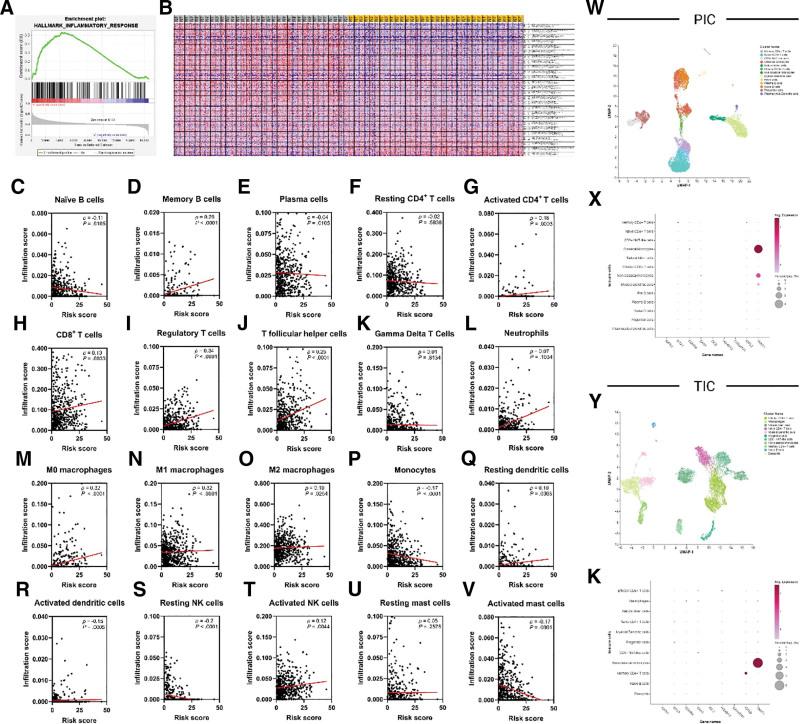https://cdn.ncbi.nlm.nih.gov/pmc/blobs/ffcd/11441924/c07e3f3fc8ce/medi-103-e39678-g006.jpg