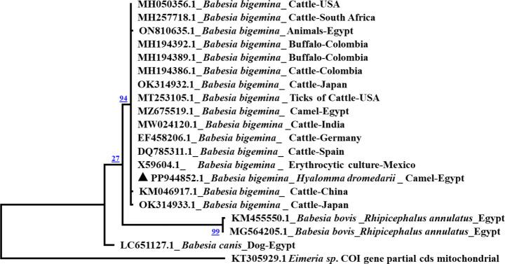 https://cdn.ncbi.nlm.nih.gov/pmc/blobs/ffcd/11534840/e82562364664/10493_2024_957_Fig3_HTML.jpg