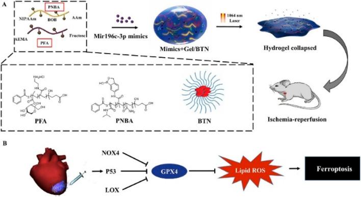 https://cdn.ncbi.nlm.nih.gov/pmc/blobs/ffcd/11558533/0086ccdab6be/fbioe-12-1491581-g006.jpg