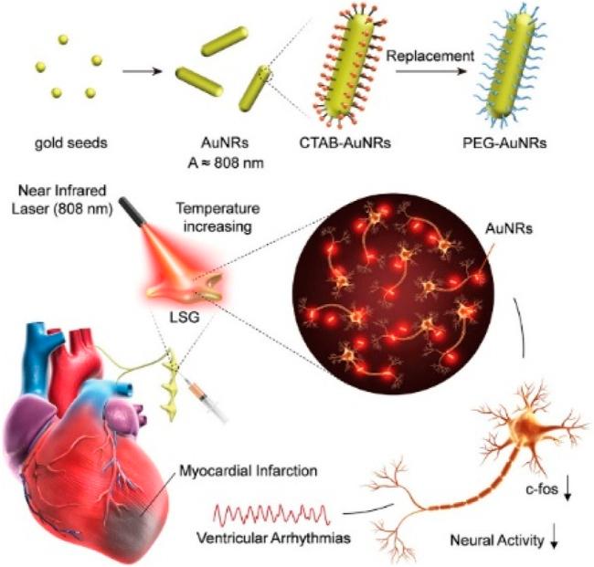 https://cdn.ncbi.nlm.nih.gov/pmc/blobs/ffcd/11558533/10e2132ec123/fbioe-12-1491581-g005.jpg