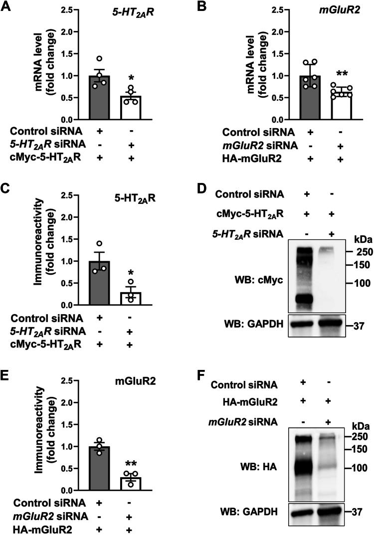 https://cdn.ncbi.nlm.nih.gov/pmc/blobs/ffcf/12305237/21e5d19a5e6b/gr1.jpg