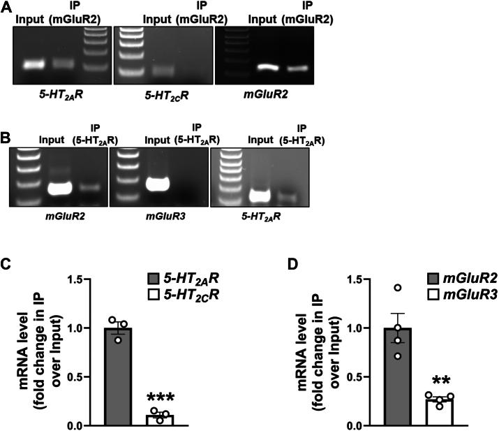 https://cdn.ncbi.nlm.nih.gov/pmc/blobs/ffcf/12305237/69c51de84759/gr11.jpg