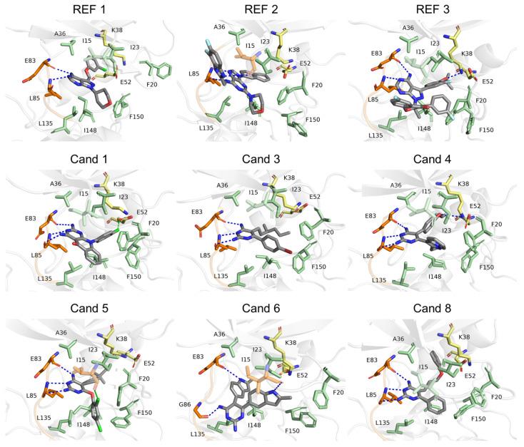 https://cdn.ncbi.nlm.nih.gov/pmc/blobs/ffd1/12114667/4678a1e33125/pharmaceuticals-18-00741-g008.jpg