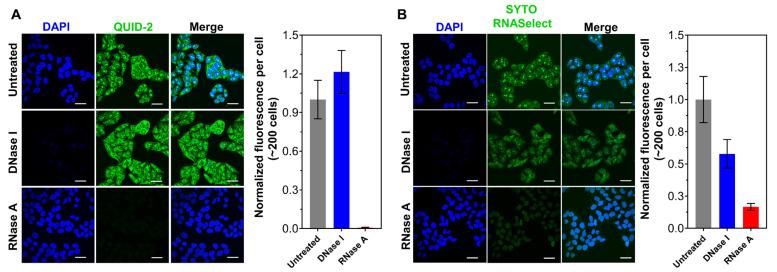 https://cdn.ncbi.nlm.nih.gov/pmc/blobs/ffd3/9607629/4cd28a5a983a/molecules-27-06927-g004.jpg
