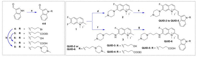 https://cdn.ncbi.nlm.nih.gov/pmc/blobs/ffd3/9607629/faaeff1f83a7/molecules-27-06927-sch001.jpg