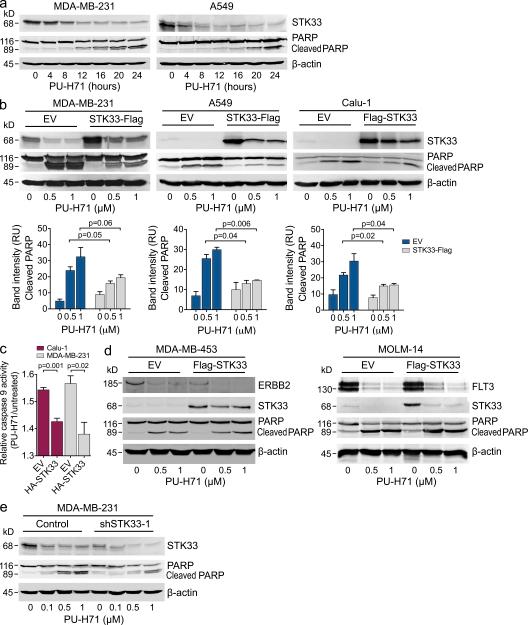 https://cdn.ncbi.nlm.nih.gov/pmc/blobs/ffd5/3328372/08791476b073/JEM_20111910_Fig3.jpg