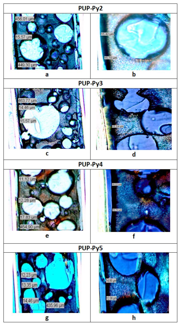https://cdn.ncbi.nlm.nih.gov/pmc/blobs/ffd6/10446928/4a9413c55aae/turkjchem-46-6-1918f5.jpg