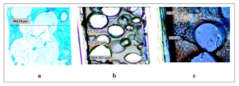 https://cdn.ncbi.nlm.nih.gov/pmc/blobs/ffd6/10446928/a27946ca0d55/turkjchem-46-6-1918f4.jpg