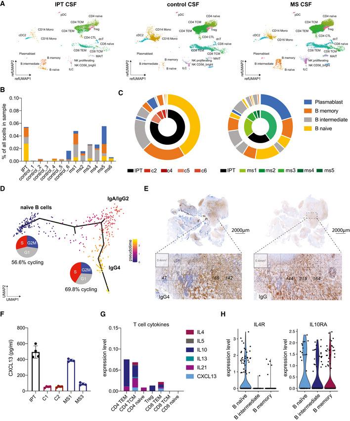https://cdn.ncbi.nlm.nih.gov/pmc/blobs/ffd6/8350898/02b65df2fecd/EMMM-13-e13953-g010.jpg