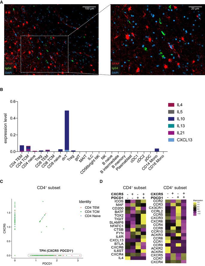 https://cdn.ncbi.nlm.nih.gov/pmc/blobs/ffd6/8350898/ec18765475cb/EMMM-13-e13953-g003.jpg