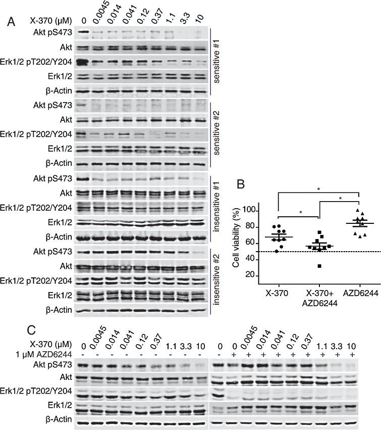 https://cdn.ncbi.nlm.nih.gov/pmc/blobs/ffd7/4279406/2feea17184cd/oncotarget-05-10732-g006.jpg