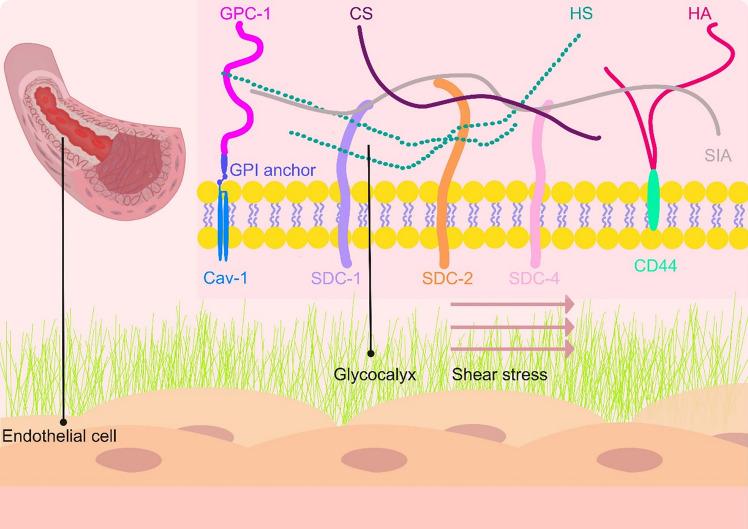 https://cdn.ncbi.nlm.nih.gov/pmc/blobs/ffda/12103372/3d495dda1414/13577_2025_1227_Fig1_HTML.jpg