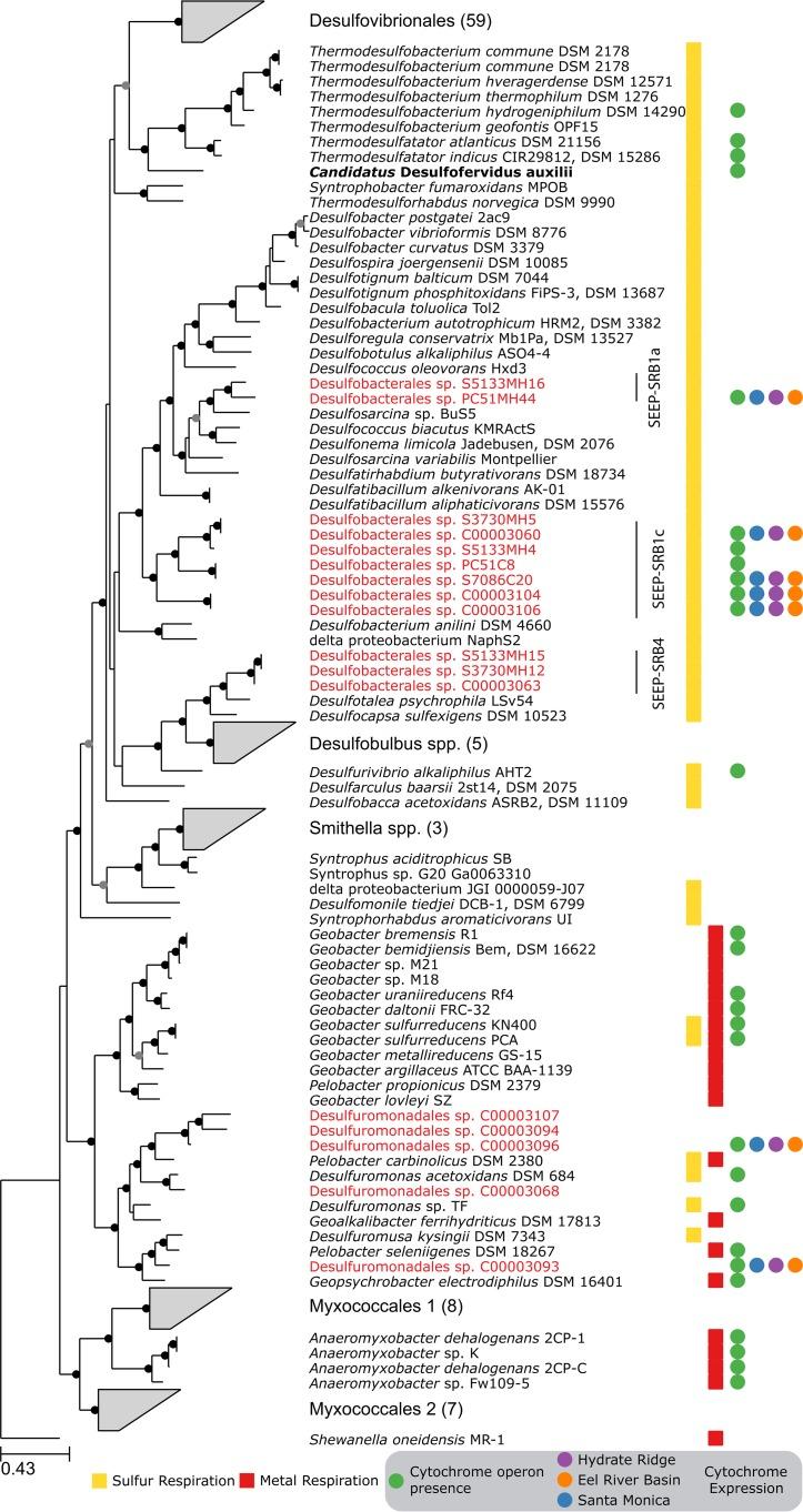 https://cdn.ncbi.nlm.nih.gov/pmc/blobs/ffda/5539420/7de3a1d0b84b/mbo0041734100001.jpg