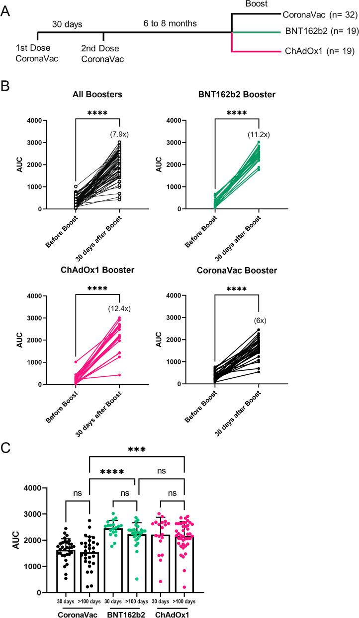 https://cdn.ncbi.nlm.nih.gov/pmc/blobs/ffde/9178875/b823f1b175b3/12916_2022_2406_Fig4_HTML.jpg