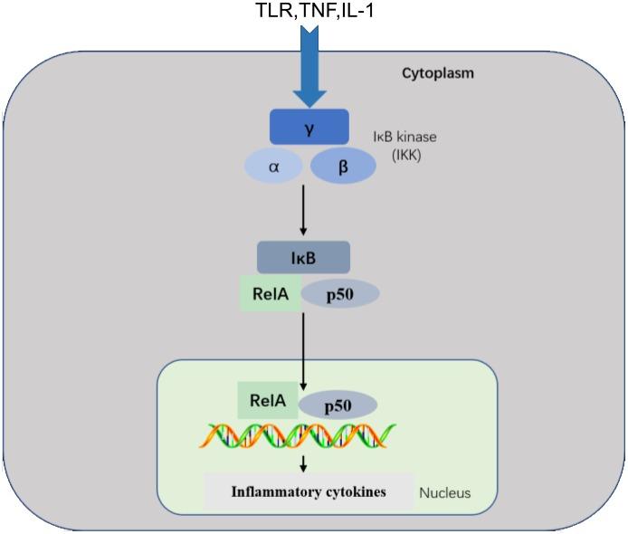 https://cdn.ncbi.nlm.nih.gov/pmc/blobs/ffe1/5805548/70a5d0e902e2/oncotarget-09-7204-g002.jpg