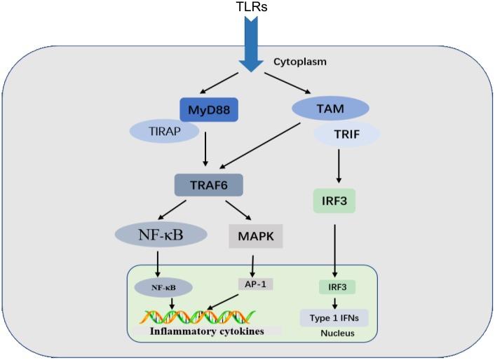 https://cdn.ncbi.nlm.nih.gov/pmc/blobs/ffe1/5805548/94151e810c98/oncotarget-09-7204-g001.jpg