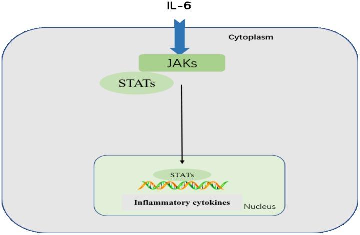 https://cdn.ncbi.nlm.nih.gov/pmc/blobs/ffe1/5805548/c48a8fb85a61/oncotarget-09-7204-g004.jpg