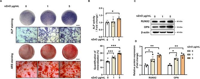 https://cdn.ncbi.nlm.nih.gov/pmc/blobs/ffe3/12023698/220ca465a386/13287_2025_4322_Fig2_HTML.jpg