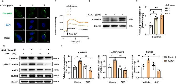 https://cdn.ncbi.nlm.nih.gov/pmc/blobs/ffe3/12023698/857dd7114a8c/13287_2025_4322_Fig5_HTML.jpg