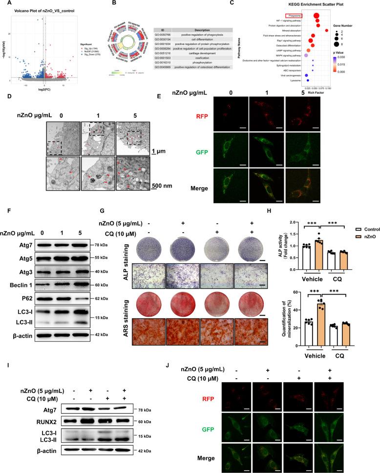 https://cdn.ncbi.nlm.nih.gov/pmc/blobs/ffe3/12023698/88e6a9412bb4/13287_2025_4322_Fig3_HTML.jpg