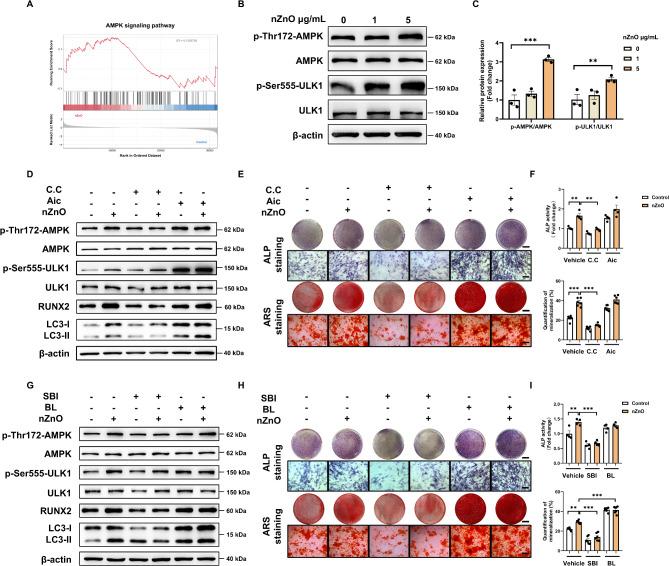 https://cdn.ncbi.nlm.nih.gov/pmc/blobs/ffe3/12023698/ce686c61bf4d/13287_2025_4322_Fig4_HTML.jpg
